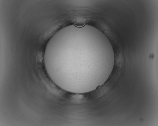 X0000110730374200906261524