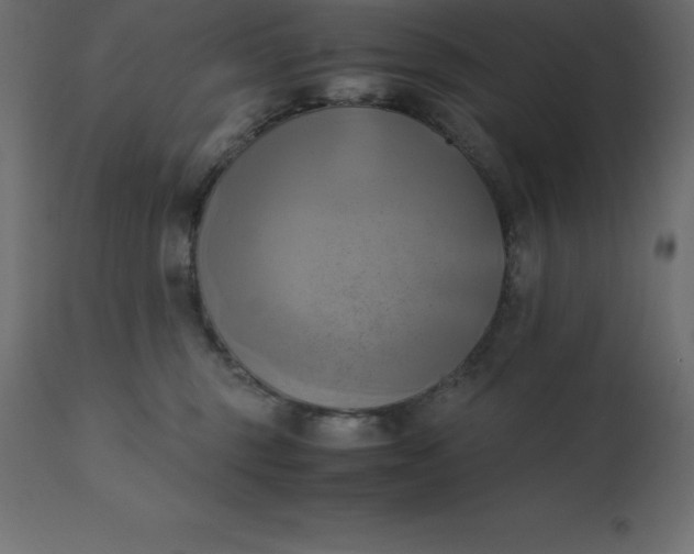 X0000110730375200906261524