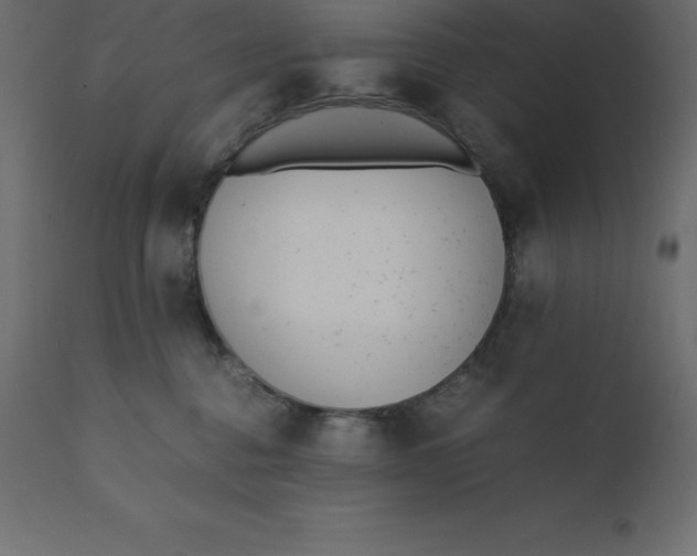 X0000110730376200906261524