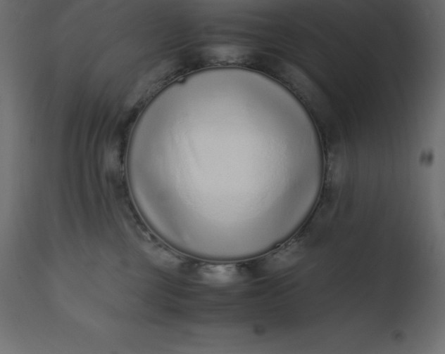 X0000110730377200906261524