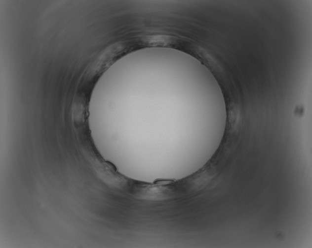 X0000110730379200906261524