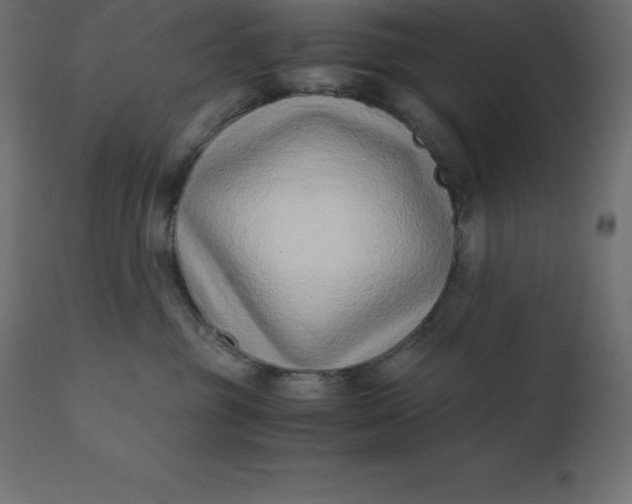 X0000110730381200906261524