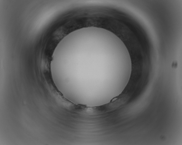 X0000110730382200906261524