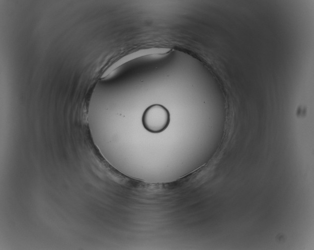 X0000110730384200906261524