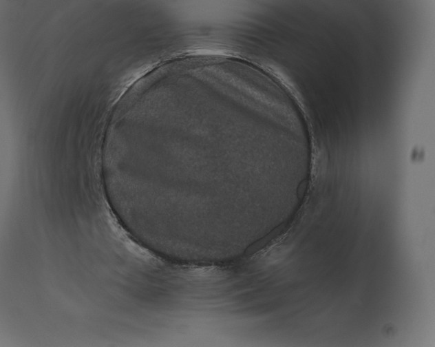 X0000110730385200906261524