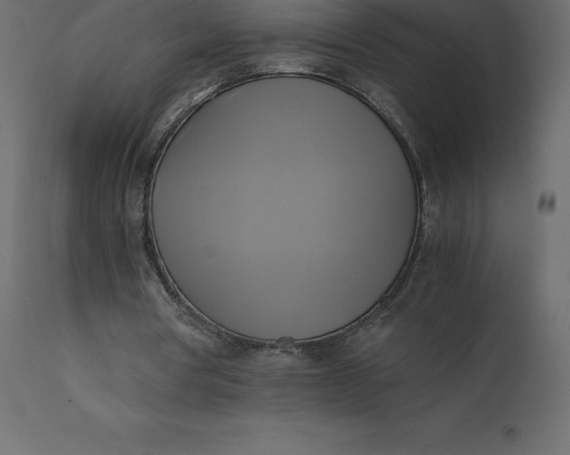 X0000110730386200906261524