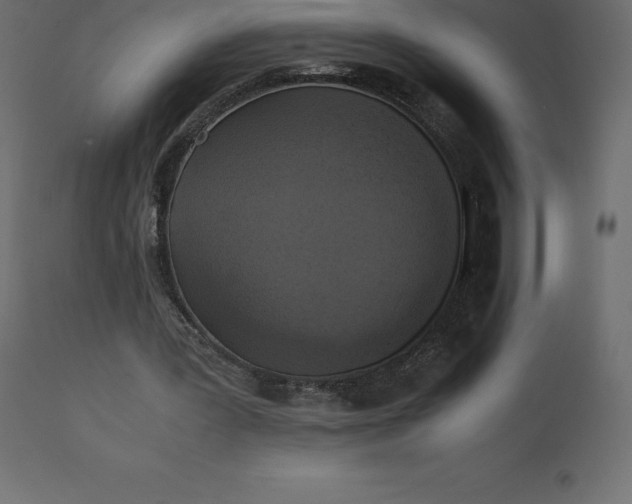 X0000110730387200906261524