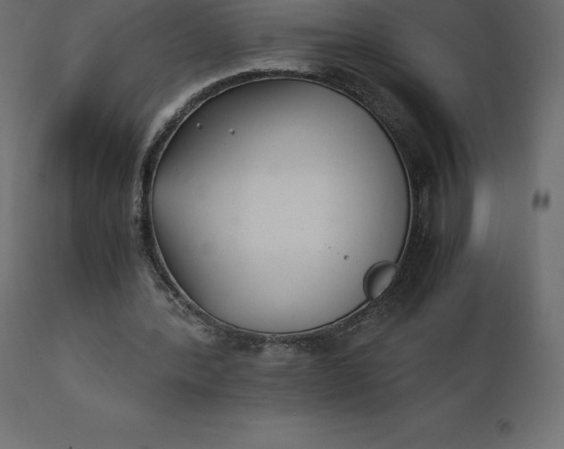 X0000110730388200906261524