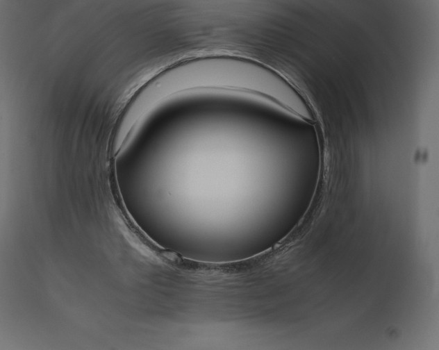 X0000110730389200906261524