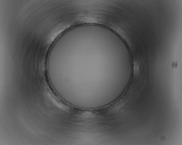 X0000110730390200906261524