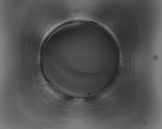 X0000110730391200906261524