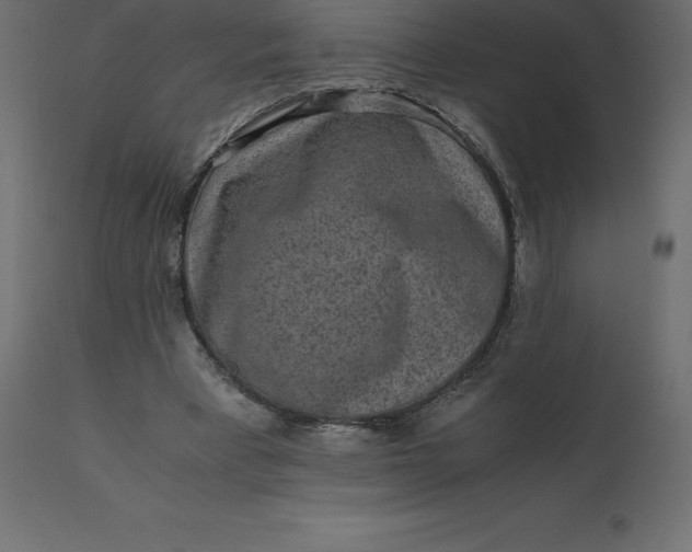 X0000110730393200906261524