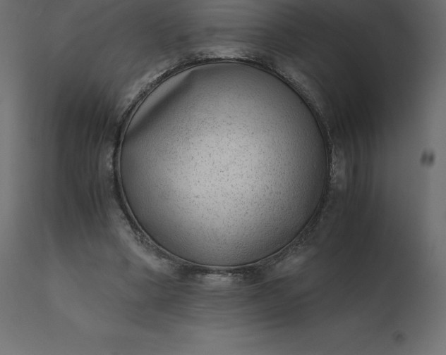 X0000110730394200906261524