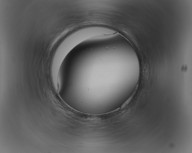 X0000110730395200906261524