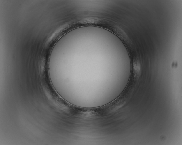 X0000110730396200906261524