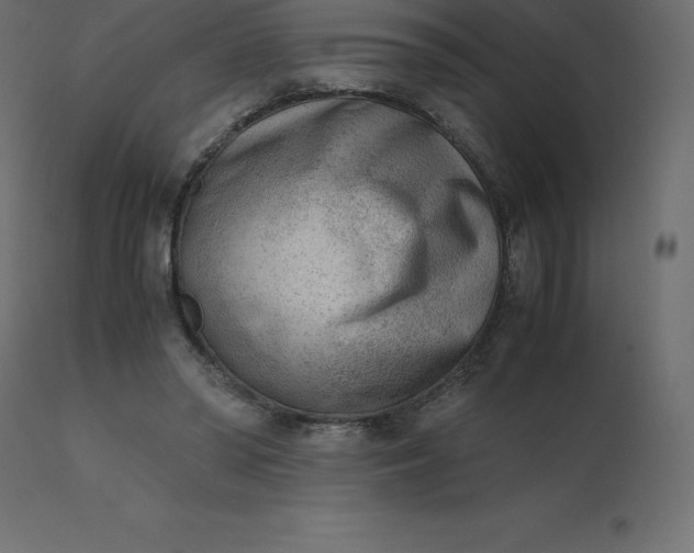 X0000110730398200906261524