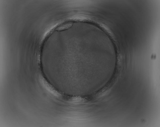 X0000110730399200906261524