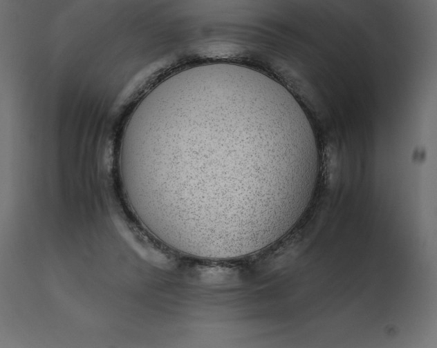 X0000110730400200906261524