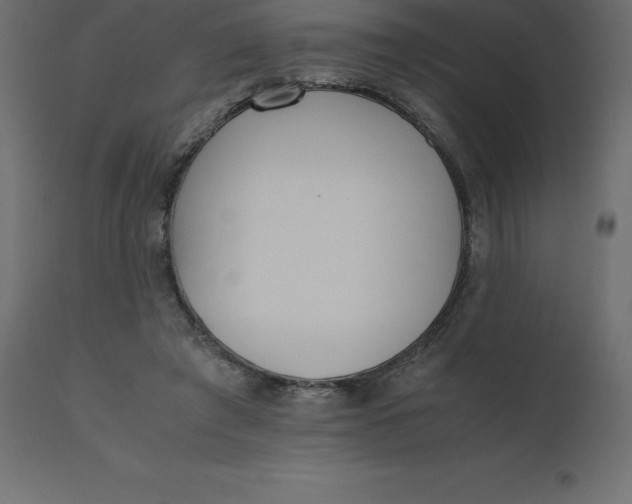 X0000110730401200906261524