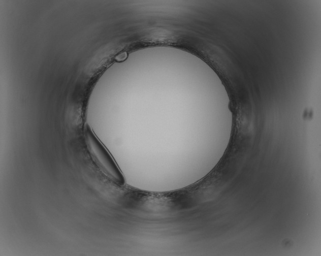 X0000110730403200906261524