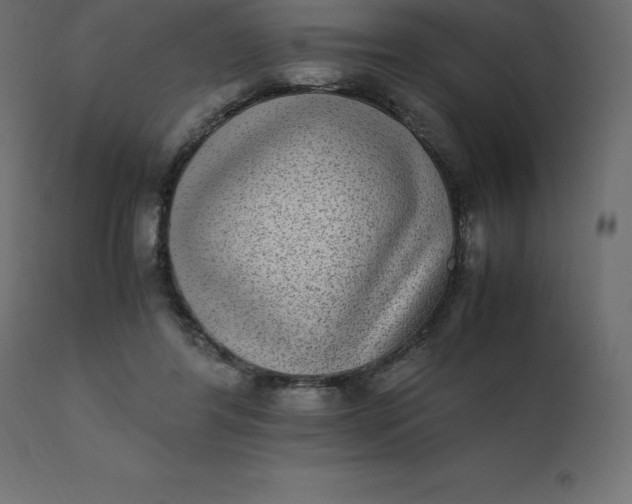 X0000110730404200906261524