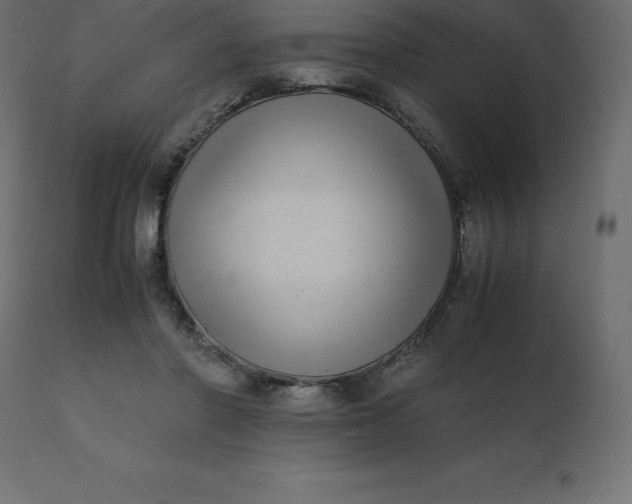 X0000110730406200906261524