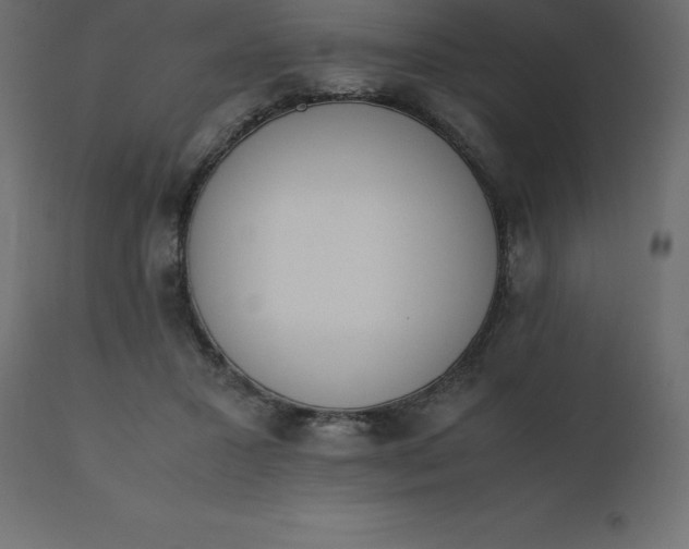 X0000110730407200906261523