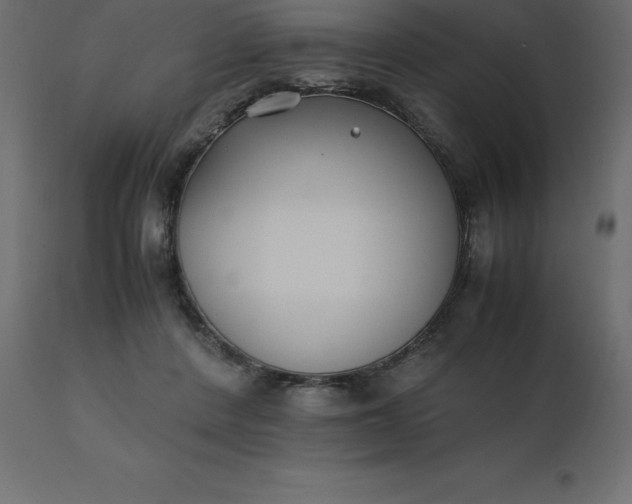 X0000110730408200906261523