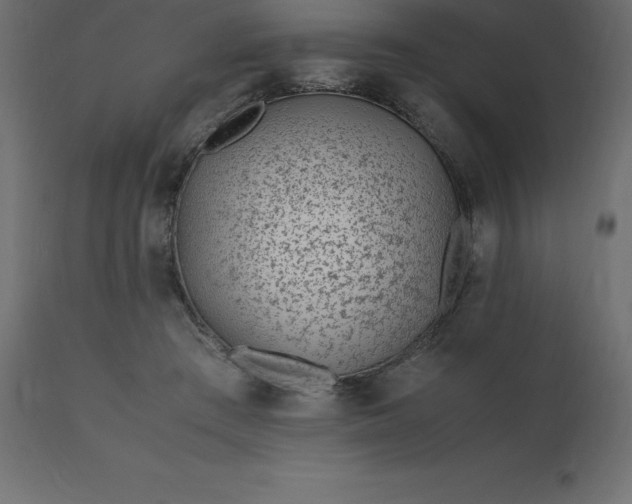 X0000110730409200906261523