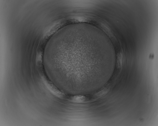 X0000110730410200906261523