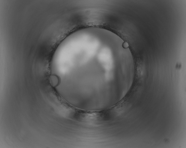 X0000110730411200906261523