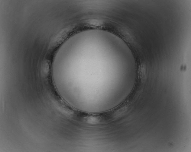 X0000110730412200906261523