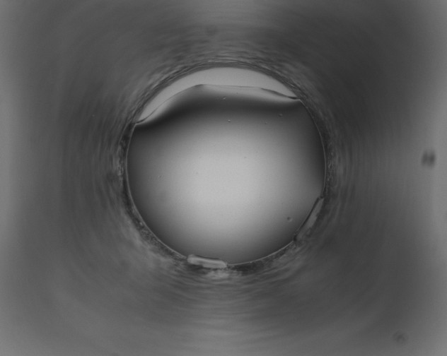 X0000110730415200906261523