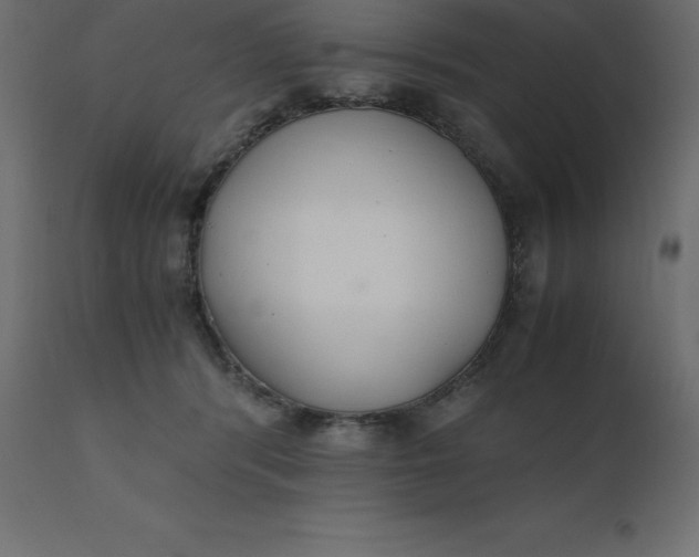 X0000110730416200906261523