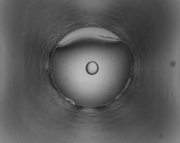 X0000110730417200906261523