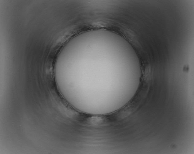 X0000110730418200906261523