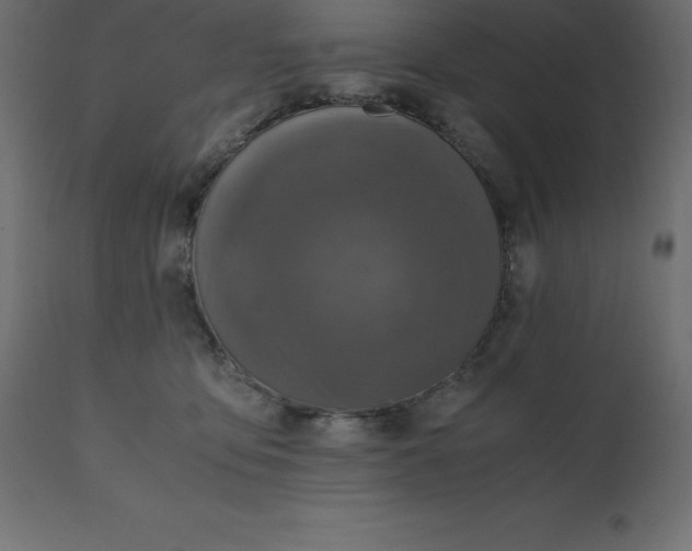 X0000110730419200906261523