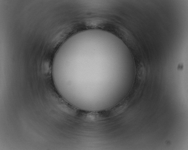 X0000110730420200906261523