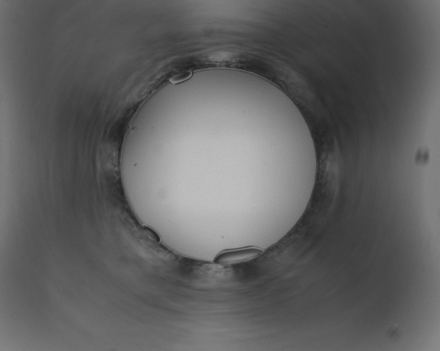 X0000110730421200906261523