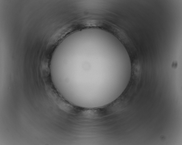 X0000110730422200906261523