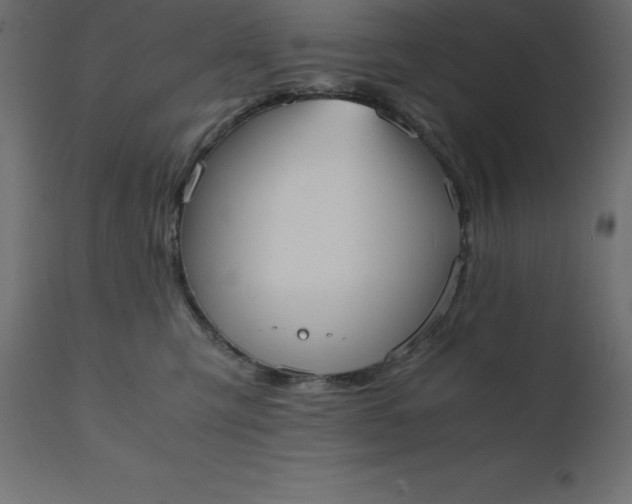 X0000110730423200906261523