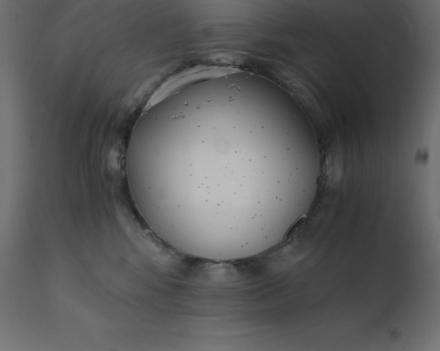 X0000110730424200906261523