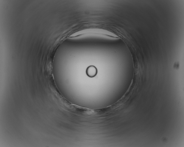 X0000110730425200906261523