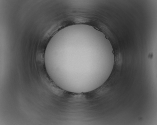 X0000110730426200906261523