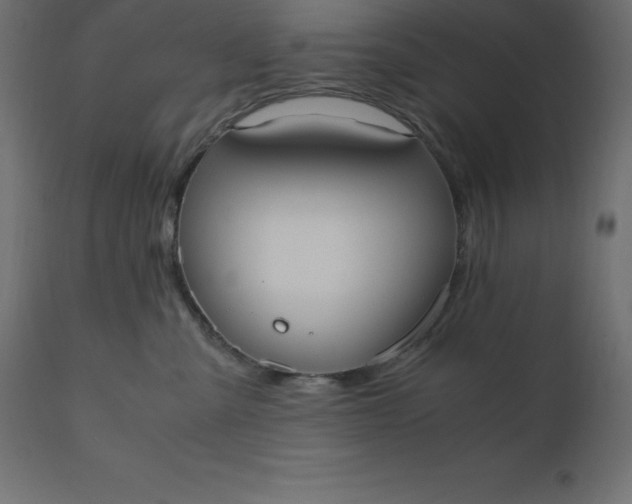 X0000110730427200906261523