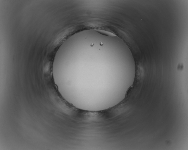 X0000110730428200906261523