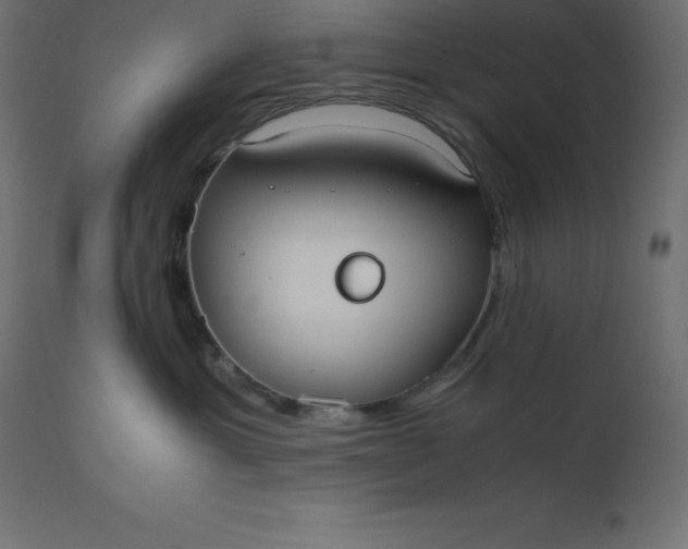 X0000110730429200906261523