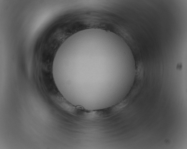 X0000110730430200906261523