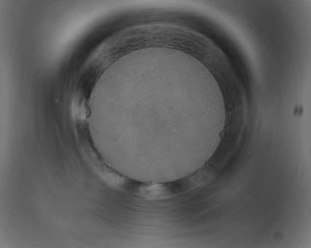 X0000110730431200906261523