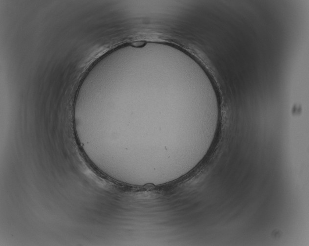 X0000110730433200906261522